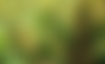 Agricultura: Mijo es una especie que pide campo (*)