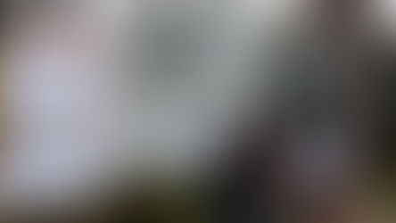 Sigue el ajuste: hubo ocho despidos más en el Senasa