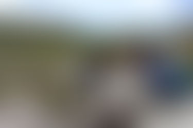 Encuentran restos de dinosaurios, tortugas, tiburones y corales en Puelén