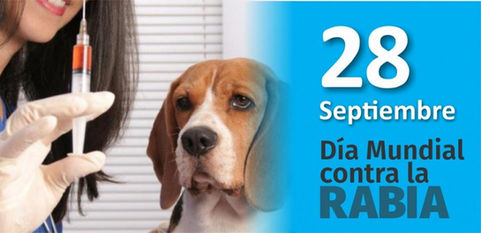 Vacunación gratuita de perros en Winifreda