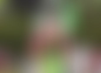 Orgullo winifredense: Gustavo Torello subió al podio en el Aconcagua