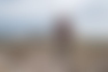 En La Pampa ''había palmeras, tortugas y caimanes''