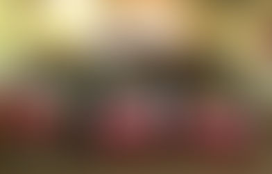 UCR: La JR va a elecciones en Winifreda y en toda la provincia