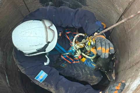 Bomberos rescataron a Sasha, una perra que cayó a un pozo de 15 metros