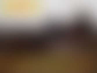 Estudiantes de Agronomía, en prácticas en criadero de cerdos