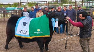Orgullo de Winifreda: Don Abelino logró el bicampeonato en la Rural de Santa Rosa