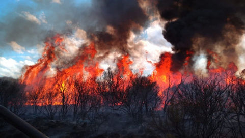 Lanzan créditos para productores afectados por incendios forestales