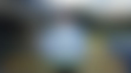 Récord de Gustavo Bellendir