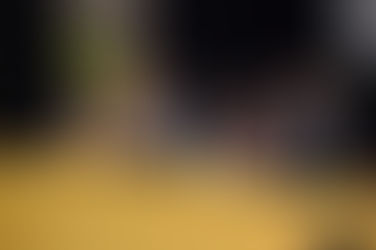 14 de noviembre Día de las Áreas Protegidas de la Provincia