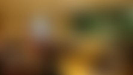 Reunión de la Comisión de Bosques Nativos