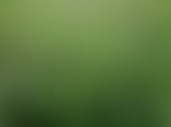 Se realizó charla sobre la importancia de la alfalfa en la rotación