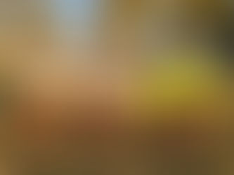 Los pibes del Deportivo Winifreda dejaron todo, pero quedaron eliminados