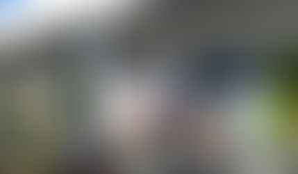 Victorica: «Obligados a votar»