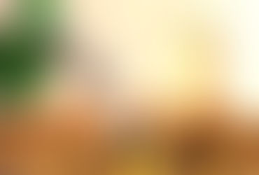 El Gobierno aumentó al 15% las retenciones al biodiésel