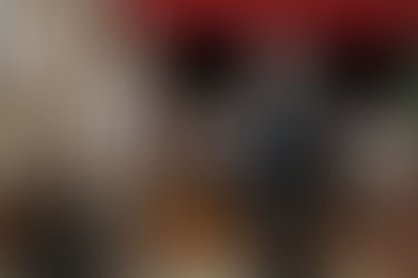 Ceremonia de cierre del Ciclo Lectivo 2016 y Egreso de la 39° Promoción de oficiales Ayudantes