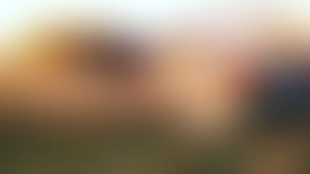 Cosecha pampeana marcó un récord: 4,02 millones de Tn