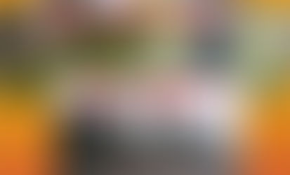 Parquización de espacios verdes en Winifreda