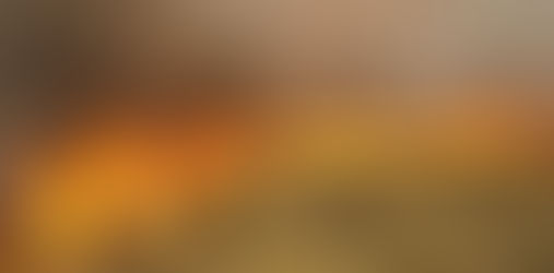 Última semana para solicitar la quema prescripta de bosque en La Pampa: plazo vence el 20 de agosto