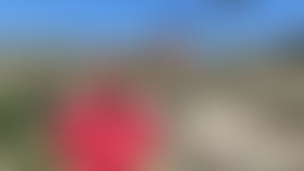 Premian a un matemático pampeano por sus avances algebraicos