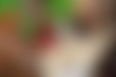 Cultura propone "Museos...en Contacto"