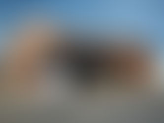 Miremos el Winifreda