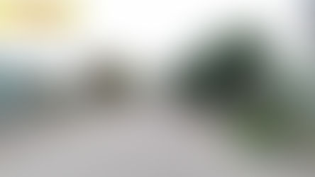 Feriado del 9 de Julio: recolección de residuos orgánicos