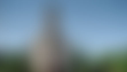 Anuncian nueva peregrinación en San José con misa y bendición de gargantas