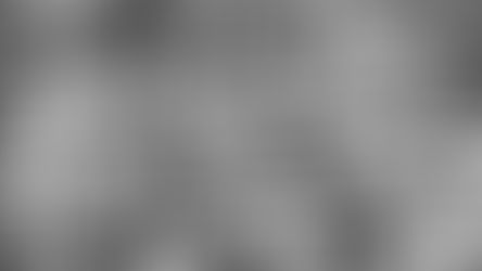 Todos tienen derecho al trabajo y a la protección contra el desempleo