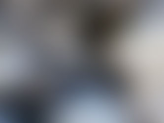 Atuel: el corte del río sumó una cruenta postal de peces muertos