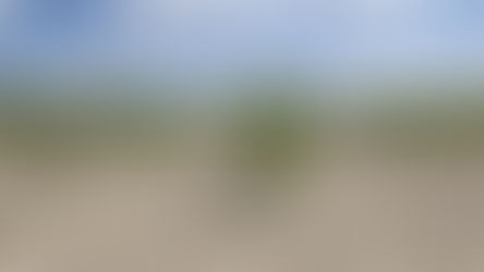 Sequía: la semana que viene lanzan créditos a tasa subsidiada para compra de forraje