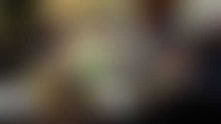 Producción: Mesa de Gestión Provincial de Ganado y Carne