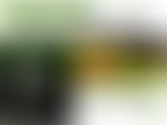 Agricultura de Precisión en la Siembra, Pulverización y Cosecha