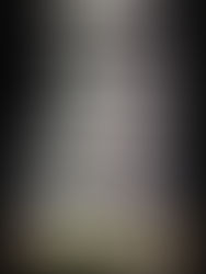 Murray presiono a su novia para que sustrajera dinero