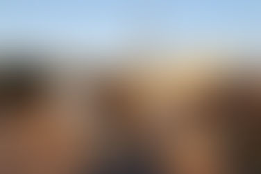 Conflicto en la aceitera de Trenel por despidos