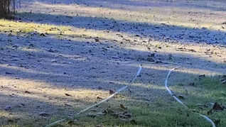 La ola polar se hace sentir: Winifreda amaneció con -4°C y fuertes heladas cubrieron toda la región