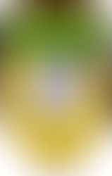 Docentes privados pasaran al sector publico en el colegio de Winifreda