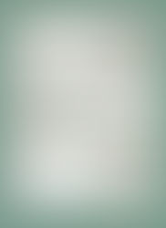 Calendario de Caza Deportiva Mayor y Menor 2019