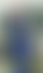 La winifredense Sofia Pall entregará donaciones en Santa Isabel