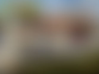 Crean en Winifreda un registro de dueños de perros