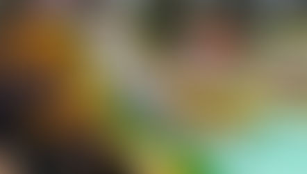 Energía solar para el Parque Acuático de Winifreda