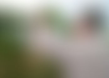 Grandes bodegas desembarcan en la zona bajo riego