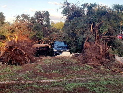 Violento temporal azotó Santa Rosa y Toay: ráfagas de 91 km/h dejaron destrozos, autos aplastados y barrios anegados