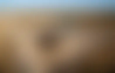 Ribeiro SRL operará El Medanito durante la transición: Pampetrol adjudicó la explotación del principal yacimiento petrolero de La Pampa