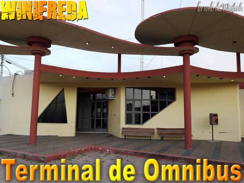 Winifreda: Combi hacia el cementerio