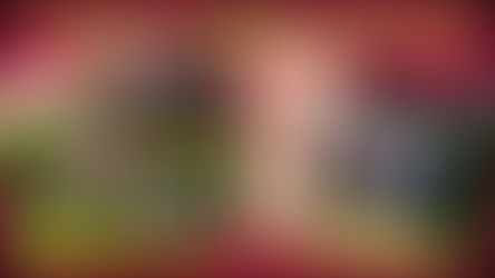 Winifreda: 3° Concurso de jardines y antejardines