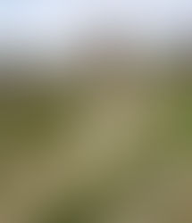 Viglizzo disertará sobre Ecología en La Pampa