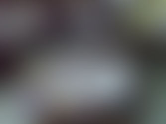 Evalúan flexibilizar la Ley de Bibliotecas Populares