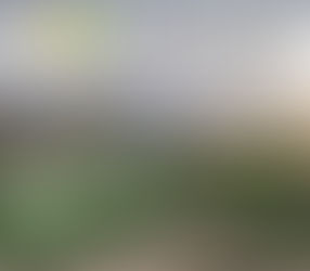 Secretaría de Cultura: Acciones 2017