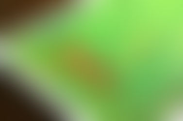 Nación dio a conocer el informe que avisaba de los incendios en La Pampa