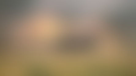 La Pampa: Hay 2 millones de hectáreas con riesgo de incendios